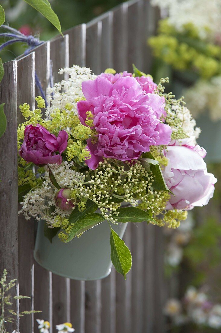 Bouquet of Paeonia (peonies), Alchemilla (lady's mantle) and Sambucus
