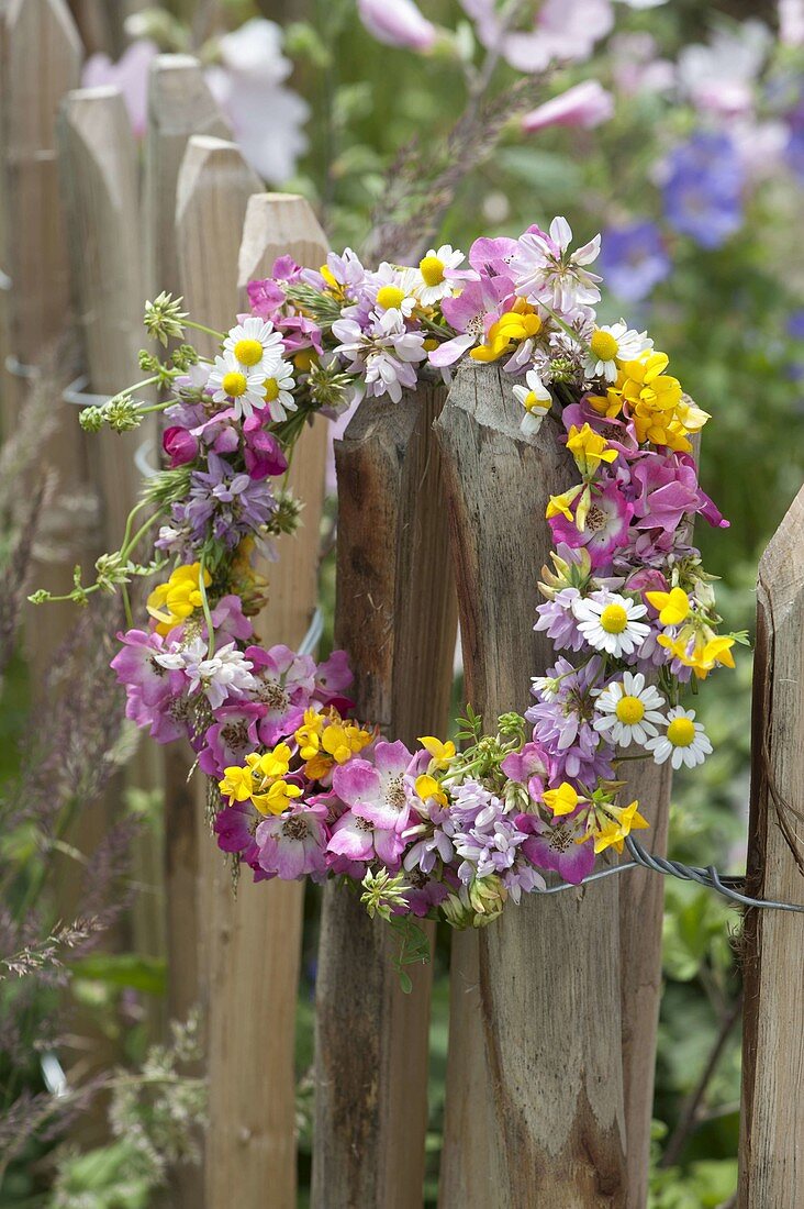 Wiesenkranz: Rosa (Rosen), Kamille (Matricaria), Coronilla