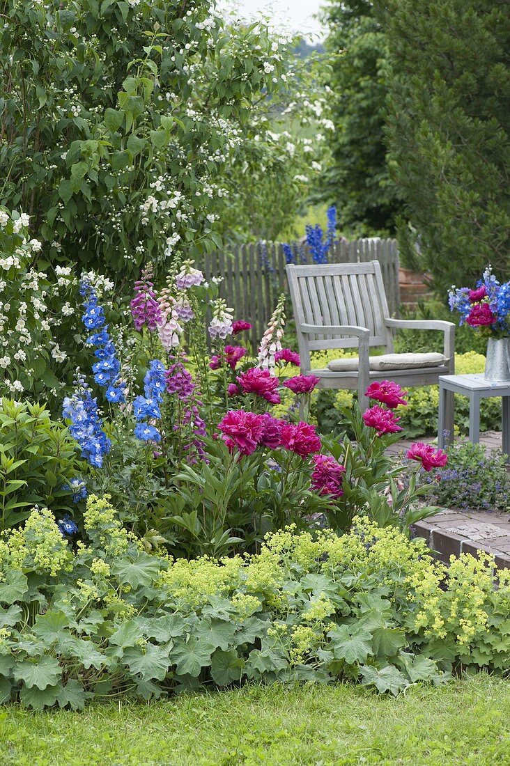 Paeonia (Peony), Digitalis (Foxglove), Alchemilla (Lady's Mantle)