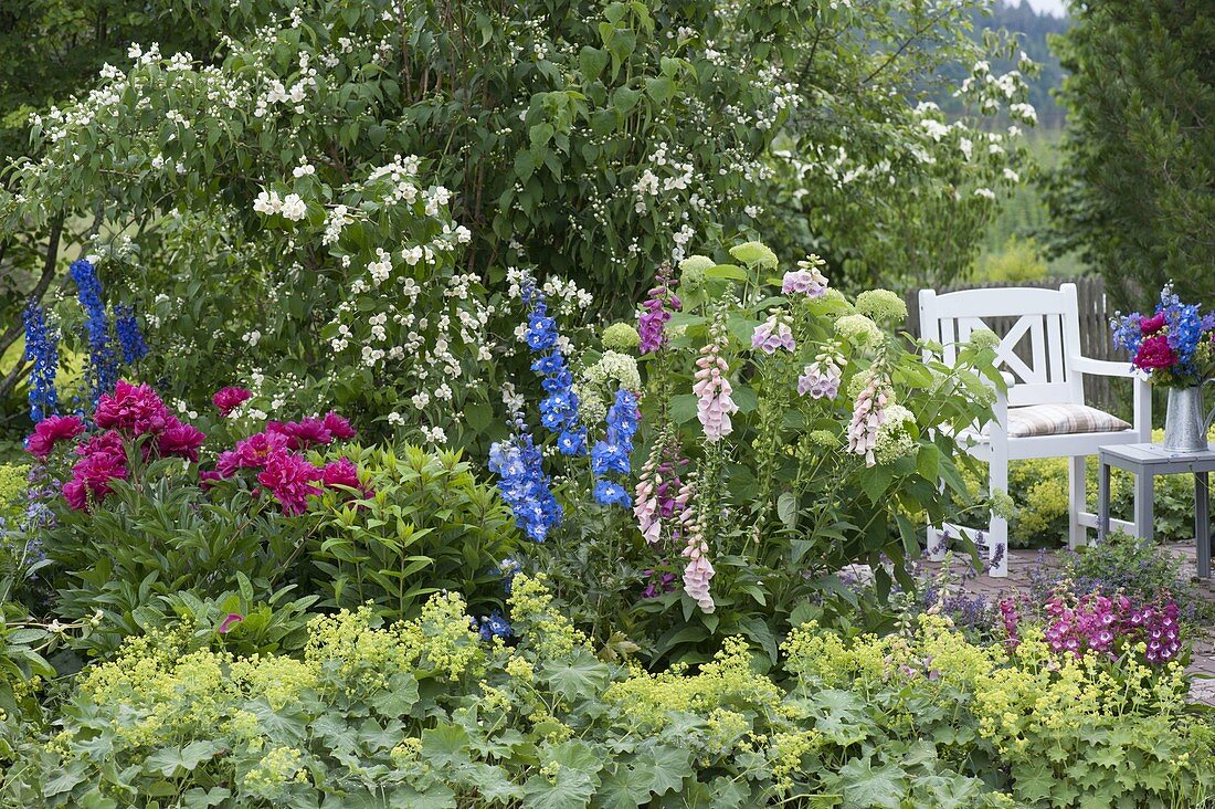 Paeonia (Peony), Digitalis (Foxglove), Alchemilla (Lady's Mantle)