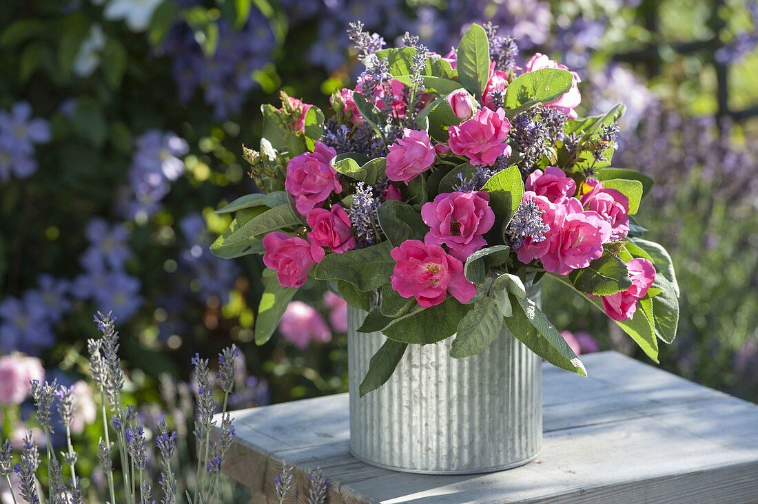 Bouquet of pink (roses), lavender (Lavandula) and sage (Salvia)