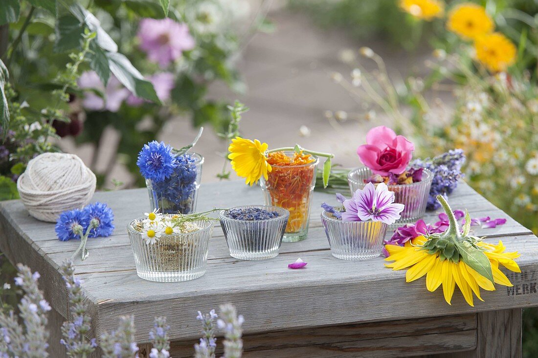 Edible flowers: Centaurea cynus (cornflower), Calendula (marigold)