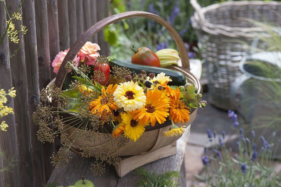Harvest basket with Calendula (marigolds), Fennel (Foeniculum), Rosa