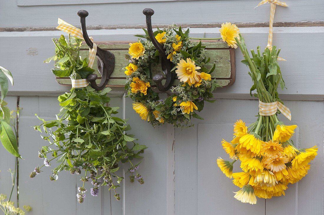 Tea herbs hung on the door to dry