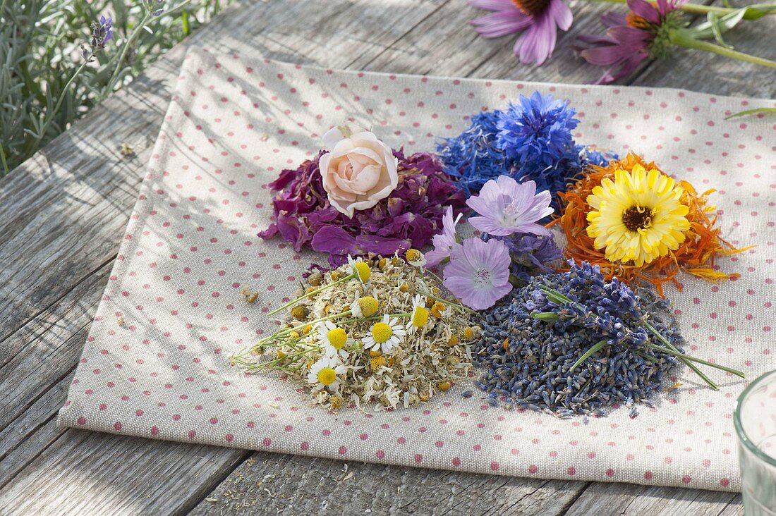 Dried flowers for tea or cosmetics