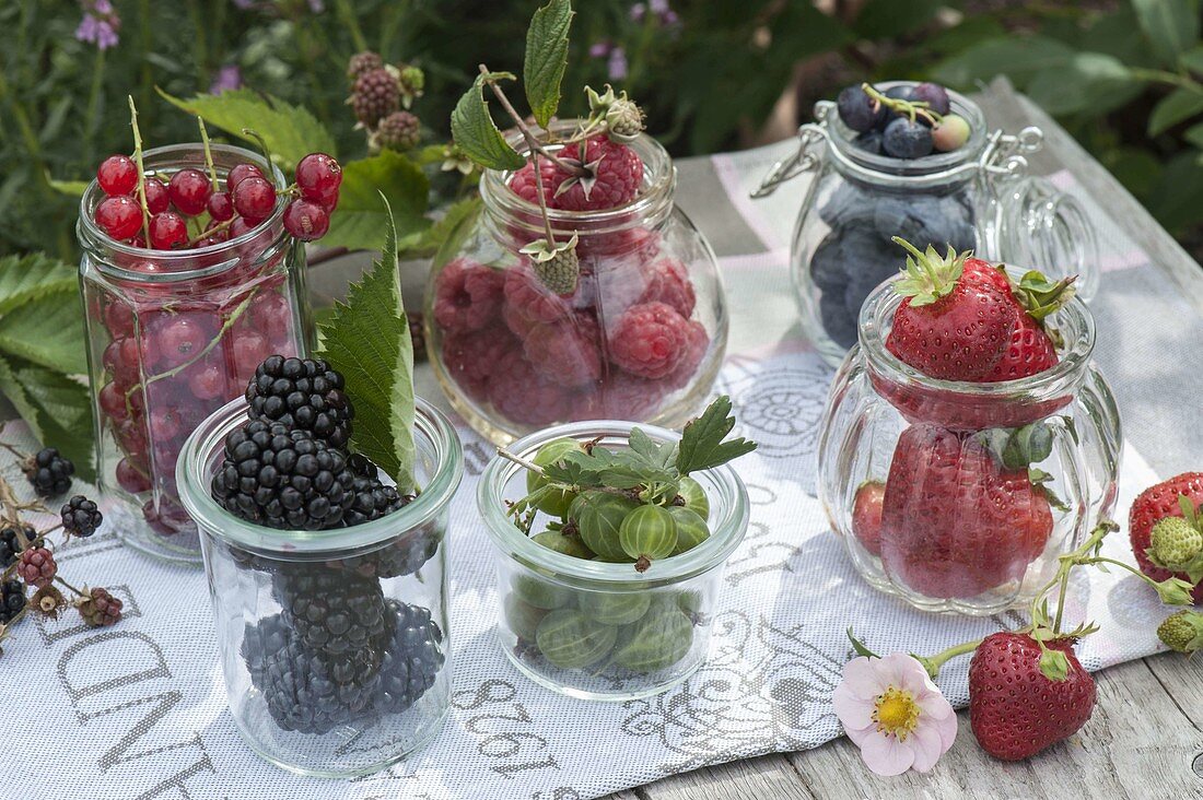 Freshly picked berries in jars: Strawberries (Fragaria), blackberries