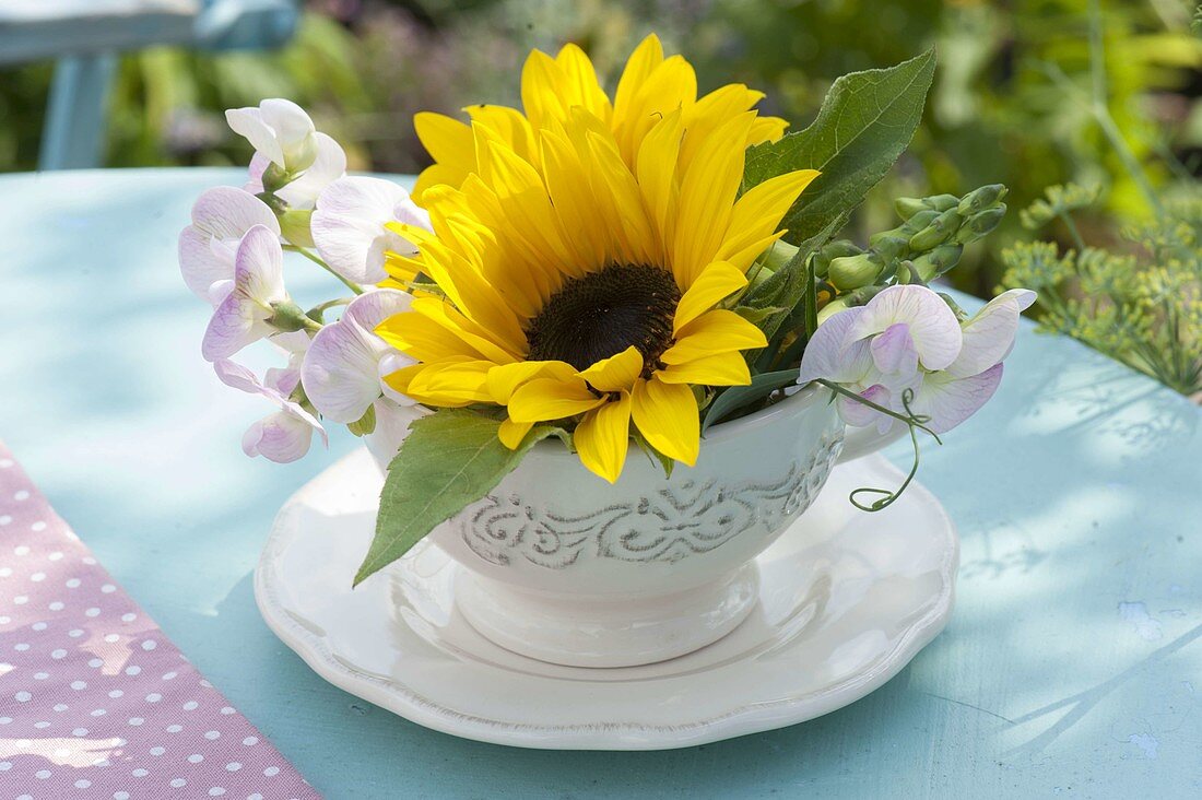 Helianthus (sunflower) and Lathyrus (perennial vetch) in a cup