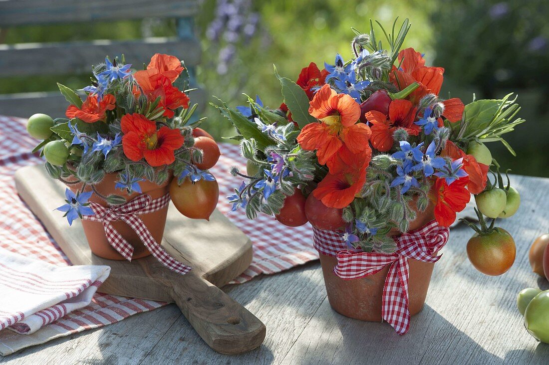 Arrangements of tomatoes, herbs and edible flowers