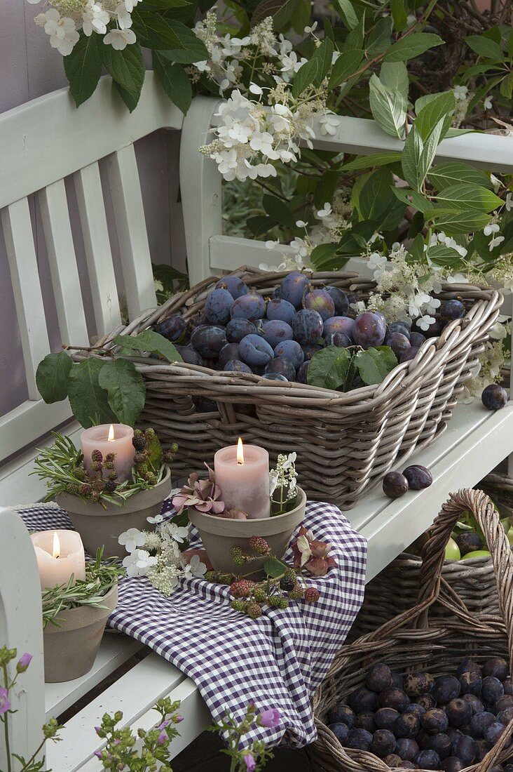 Small candlesticks with rosemary (Rosmarinus), blackberries