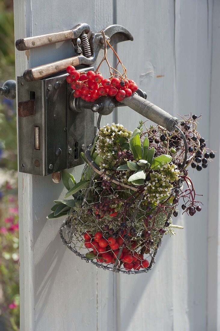 Small wire basket with herbs and wild fruits hung on a door