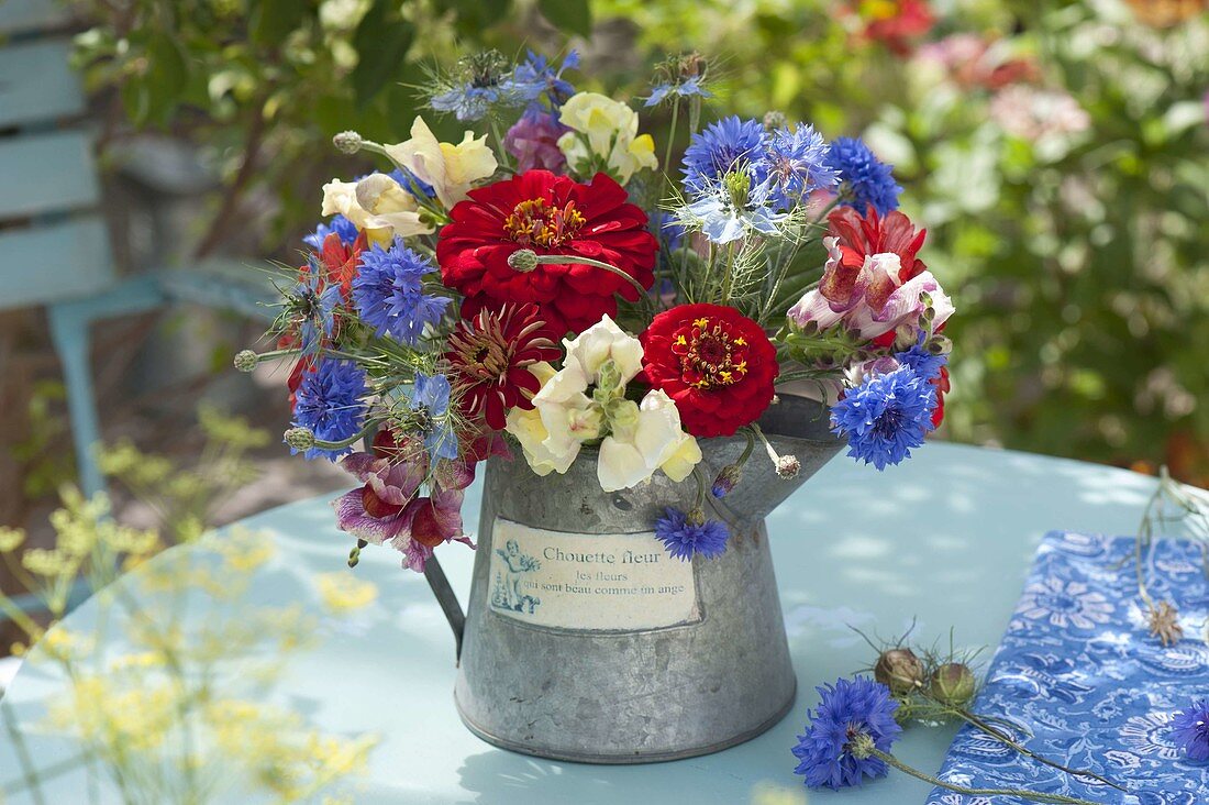 Bouquet of freshly cut Zinnia (zinnias), Centaurea cyanus