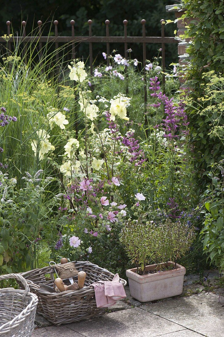 Scented bed in a small garden