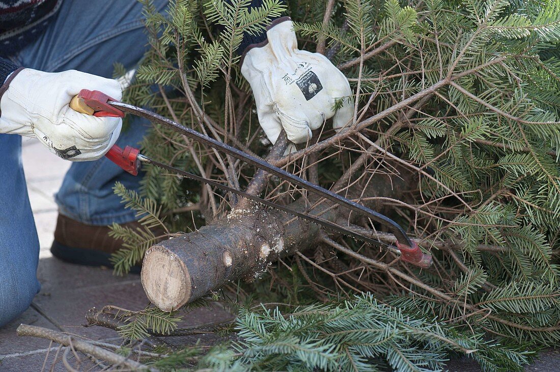 Christmas tree placed in stand and decorated