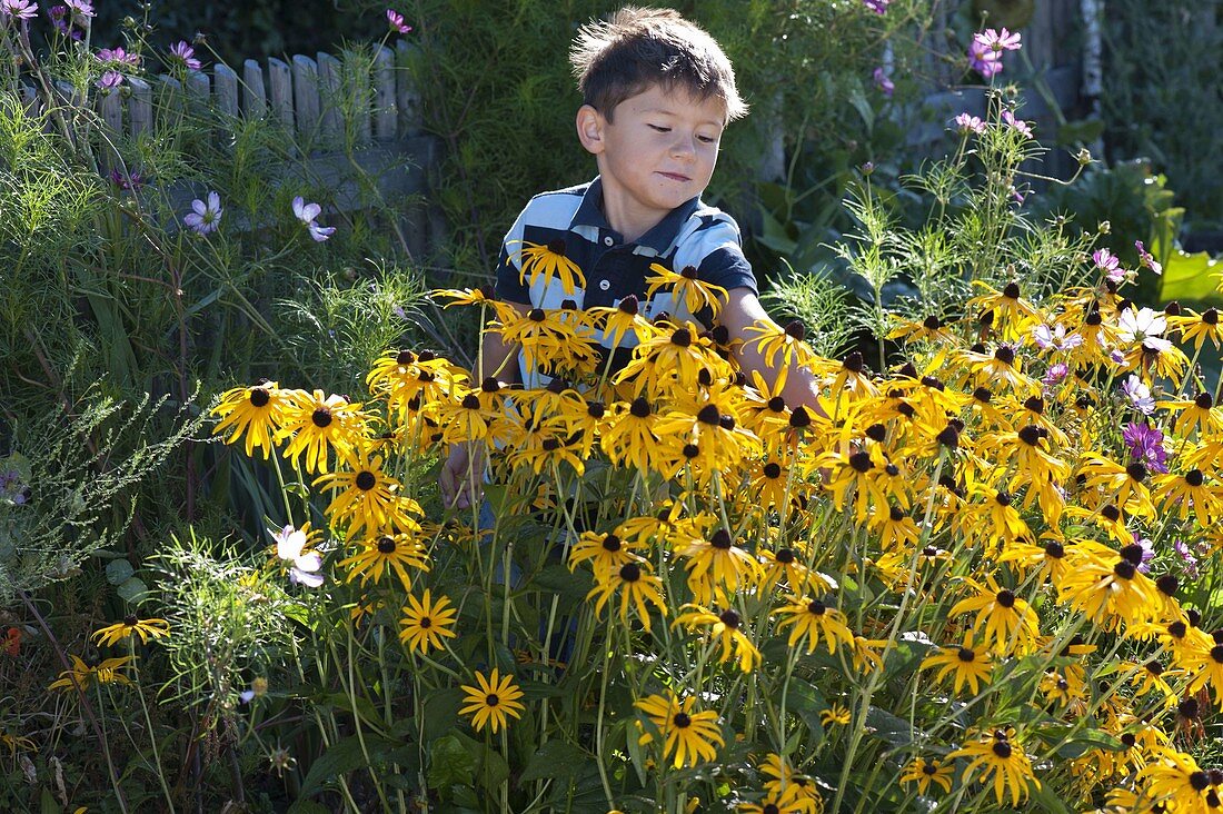 Children picking coneflowers