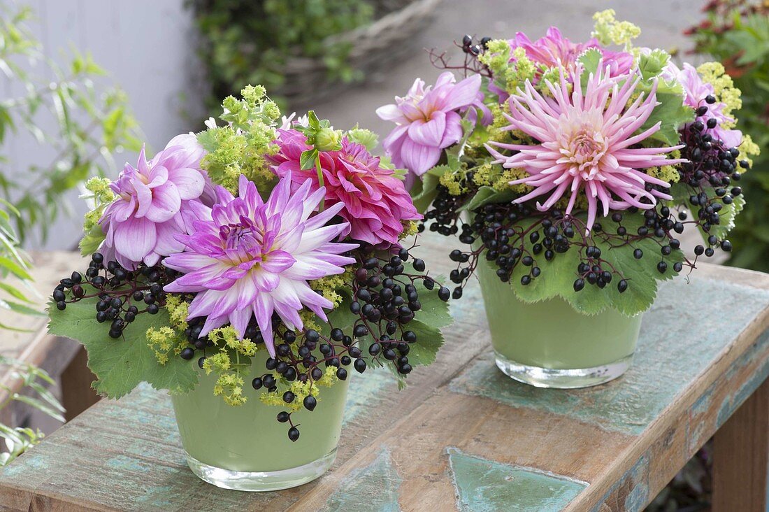 Small bouquets with dahlia, elderberry (sambucus nigra)