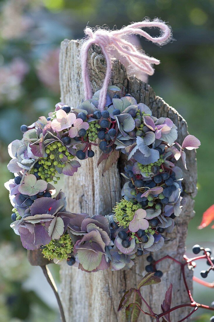 Kleiner Kranz aus Hydrangea (Hortensien), Knospen und Blüten von Hedera