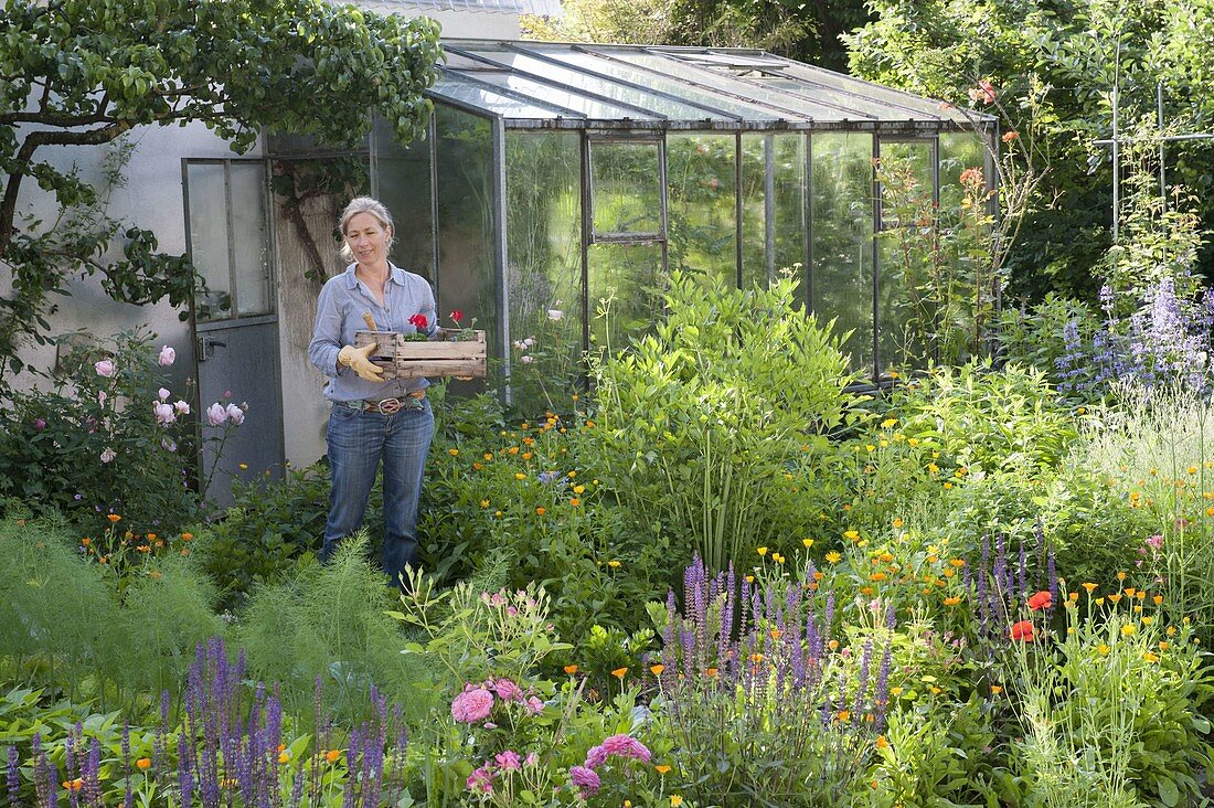 Variegated bed with summer flowers, perennials, vegetables and herbs