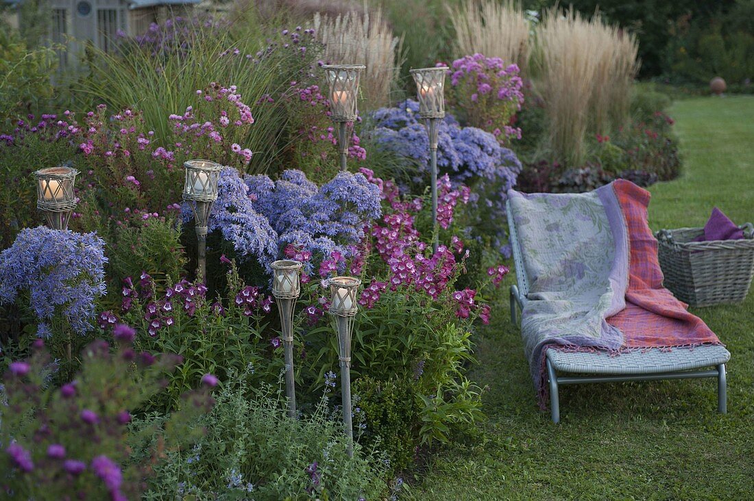 Autumn bed with asters and grasses