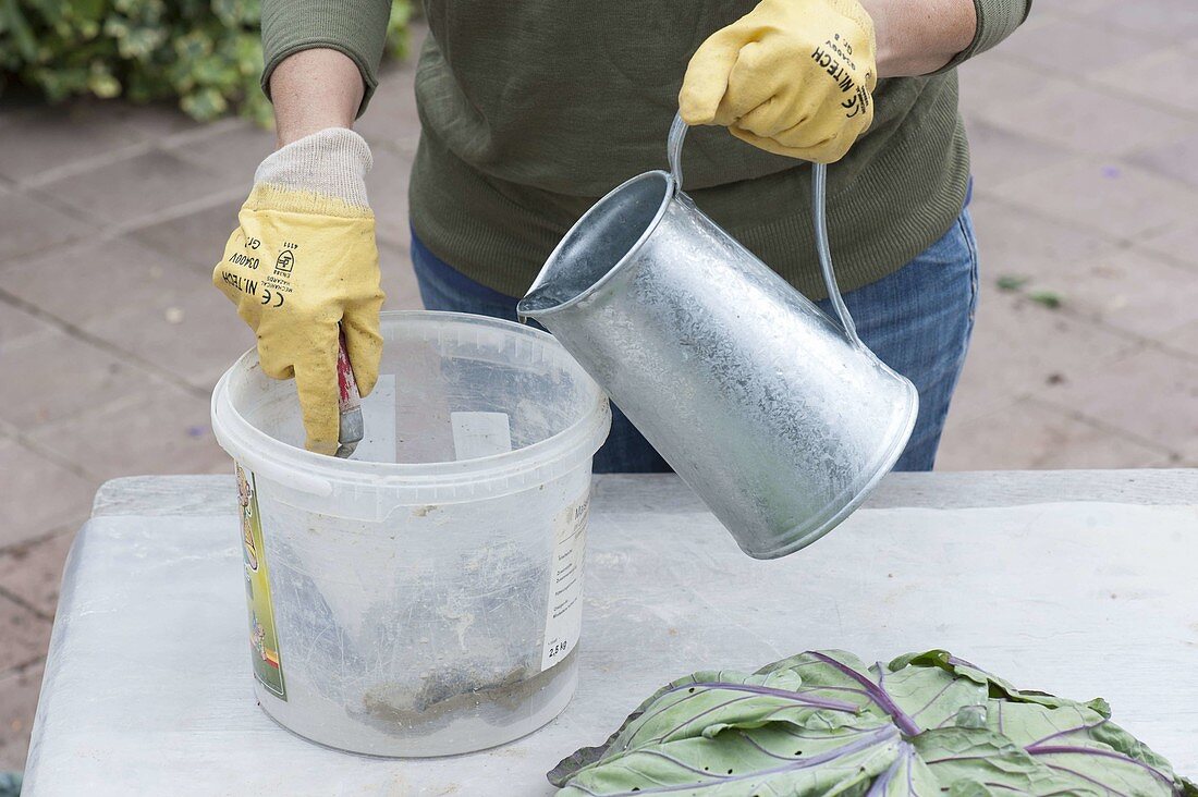 Make your own cabbage-leaf bowl from quick-set screed