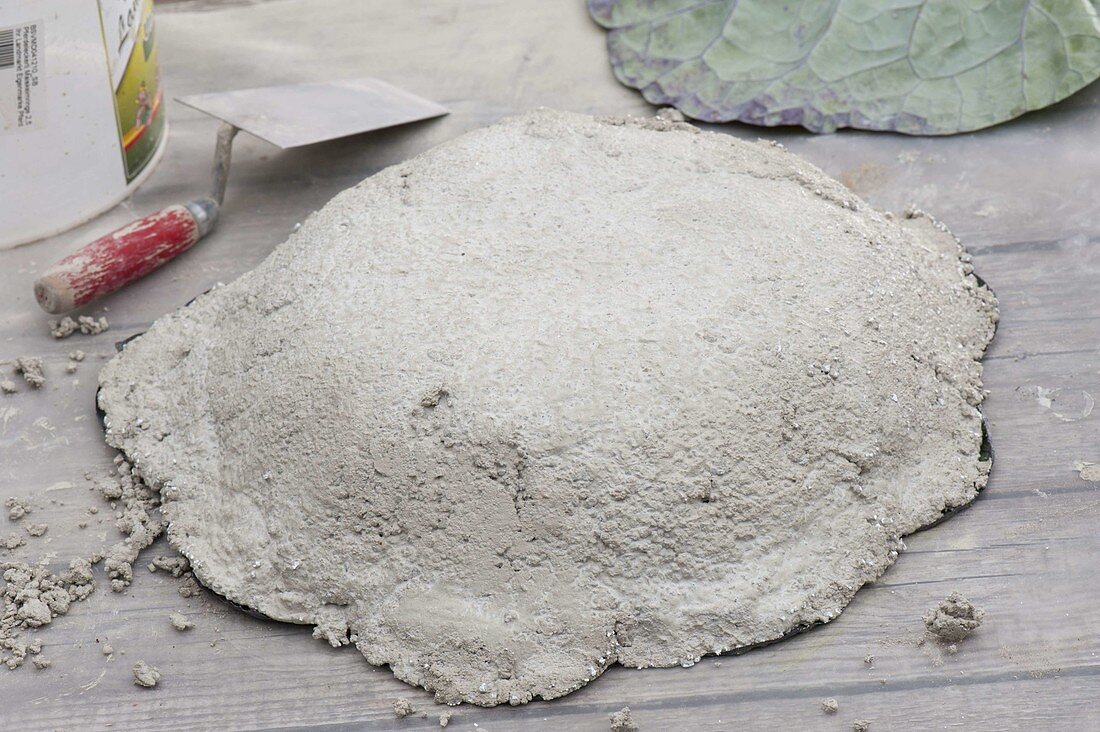 Make your own cabbage leaf bowl from quick-set screed