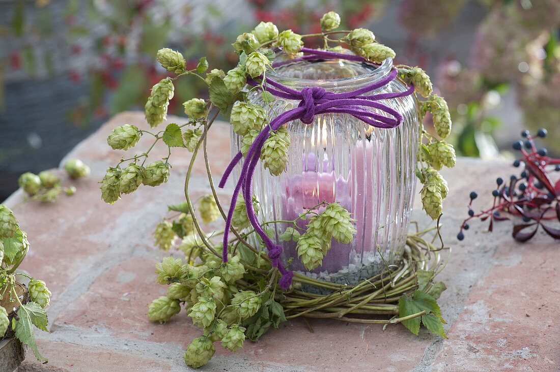 Lantern with a small hops, Humulus (hops) wreath