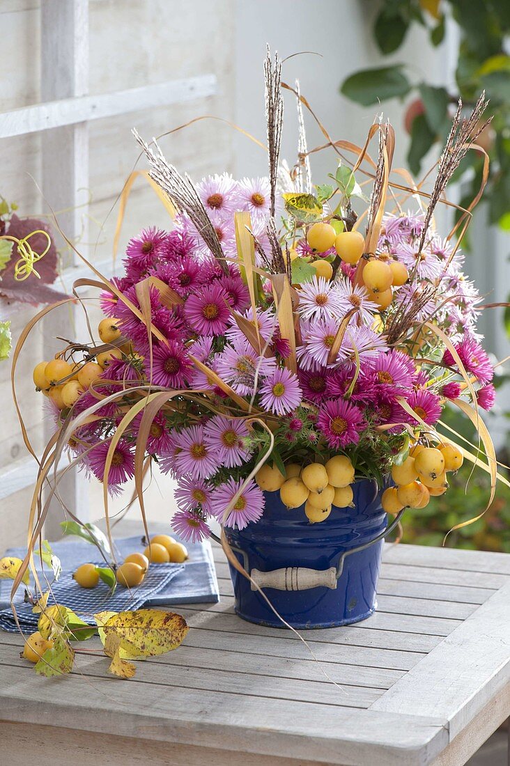 Autumn bouquet from Aster, Malus 'Golden Hornet'