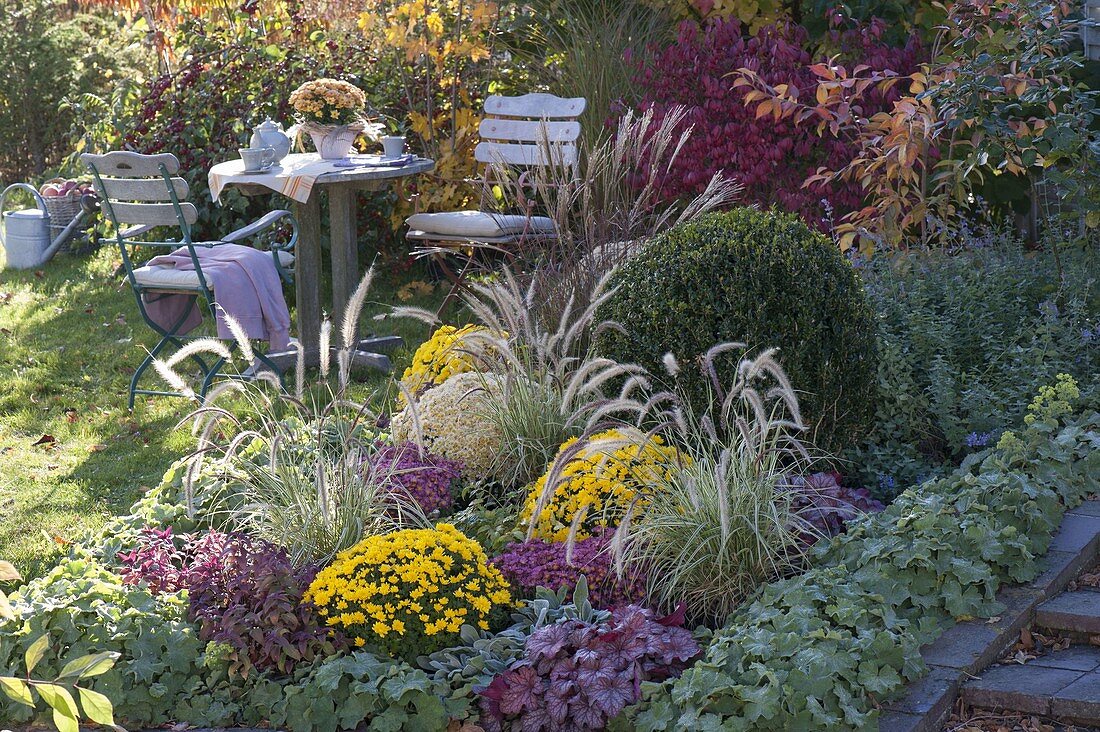 Autumn bed with perennials and grasses, Pennisetum 'Sky Rocket'