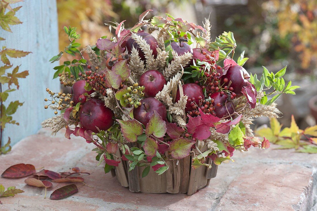 Thanksgiving bouquet: apples (Malus), wheat (Triticum), pinks