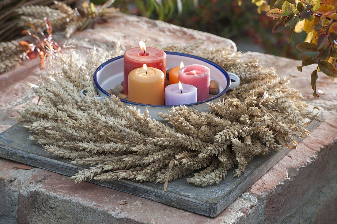 Thanksgiving wreath of wheat (Triticum), enamel pot with candles in the middle