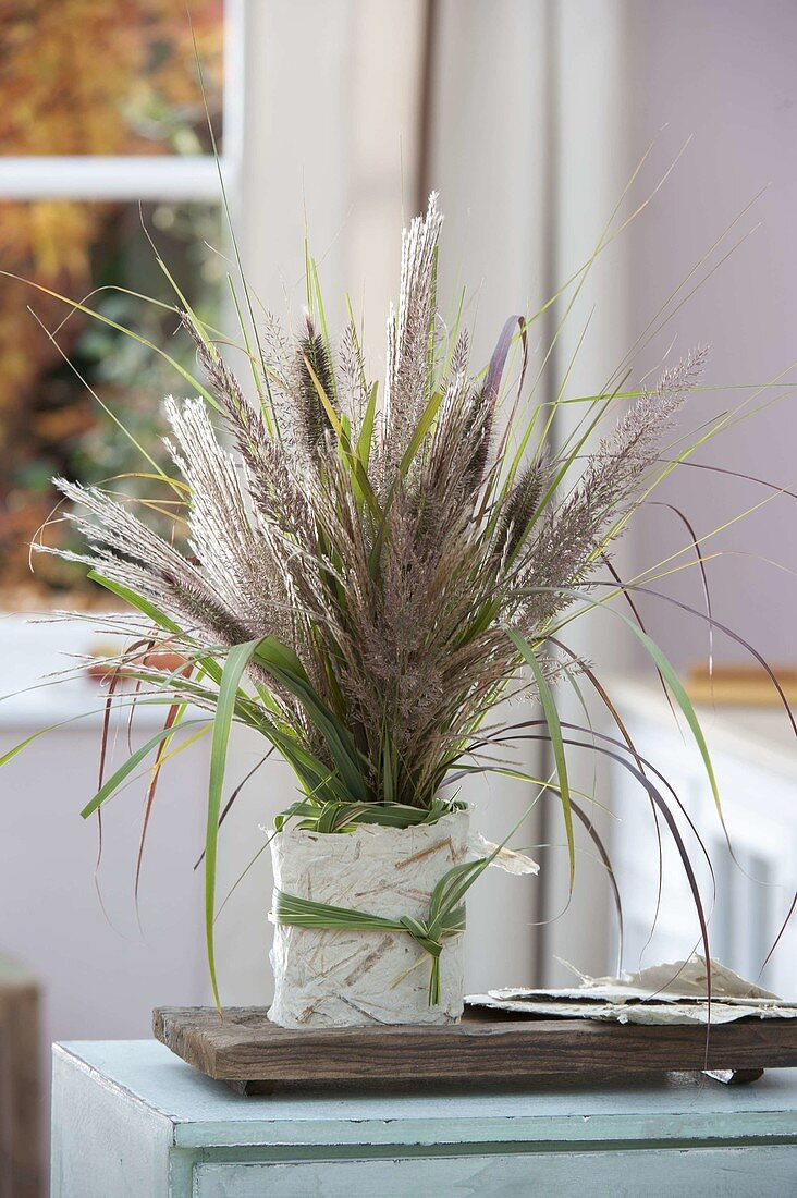 Bouquet of various grasses in a vase