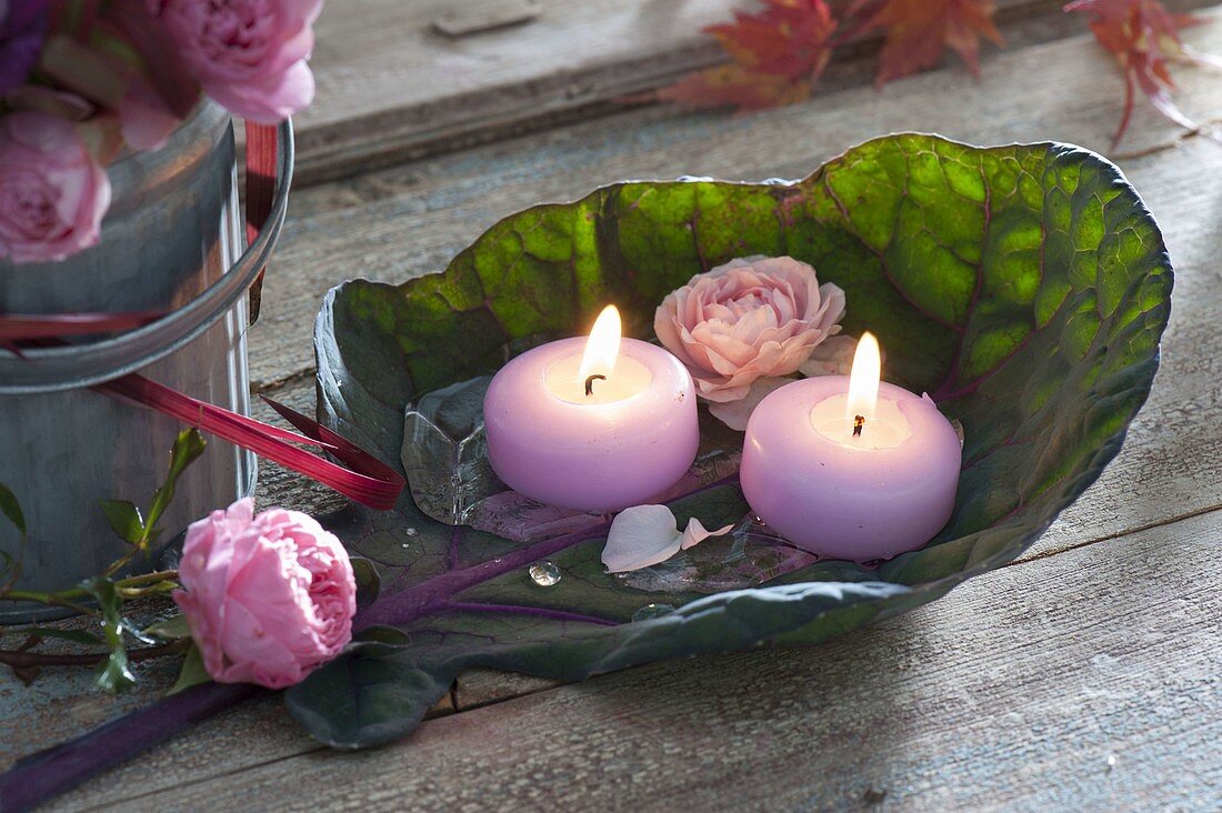 Cabbage leaf as a candle holder, leaf of red cabbage with flowers