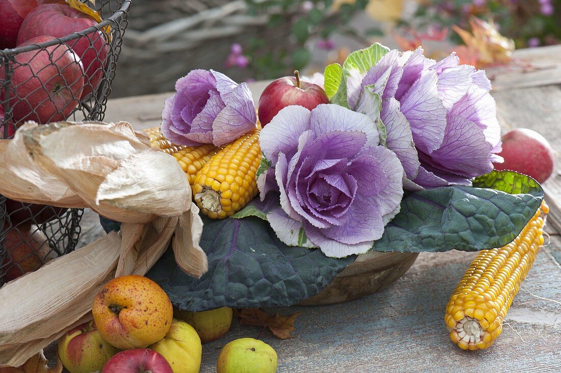 Thanksgiving arrangement with brassica (ornamental cabbage), maize (Zea), apples