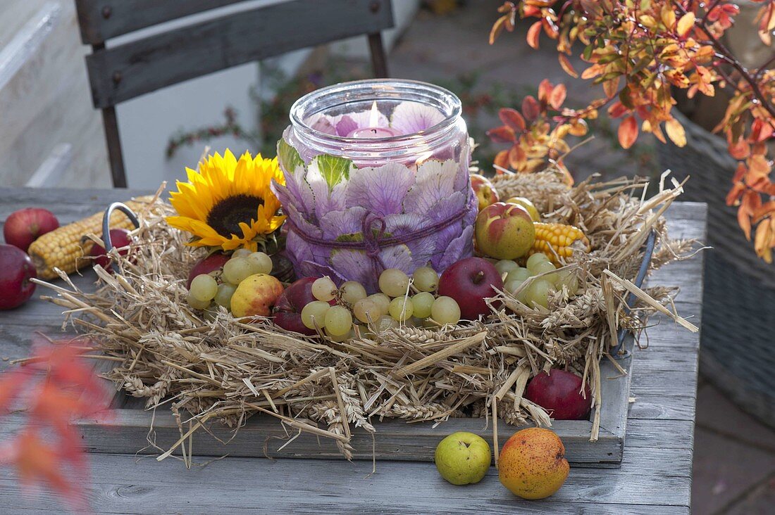 Canning jar as lantern, dressed with leaves of Brassica (ornamental cabbage)