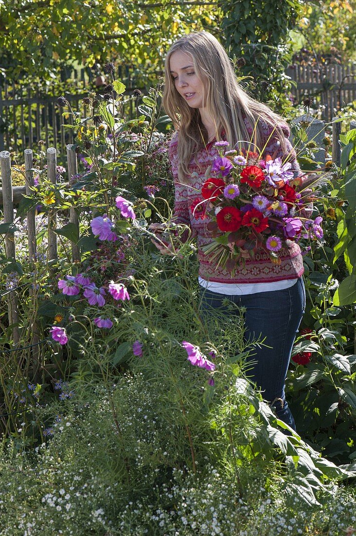 Young woman cutting the last summer flowers in the cottage garden