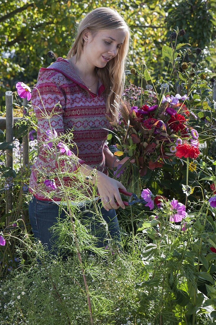 Young woman cutting the last summer flowers in the cottage garden
