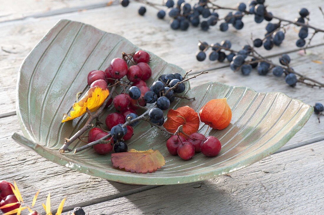 Handgetöpferte Schale 'Ginkgoblatt' mit Herbstfrüchten