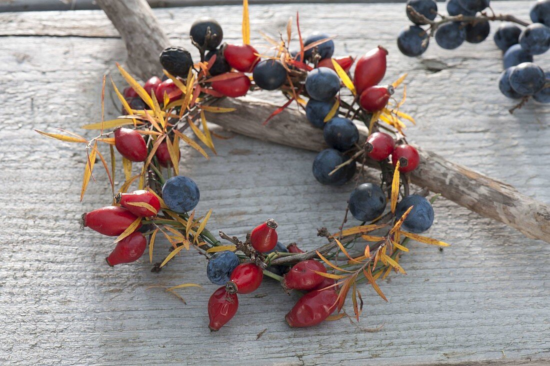 Wild fruit wreath with rose hips, sloe