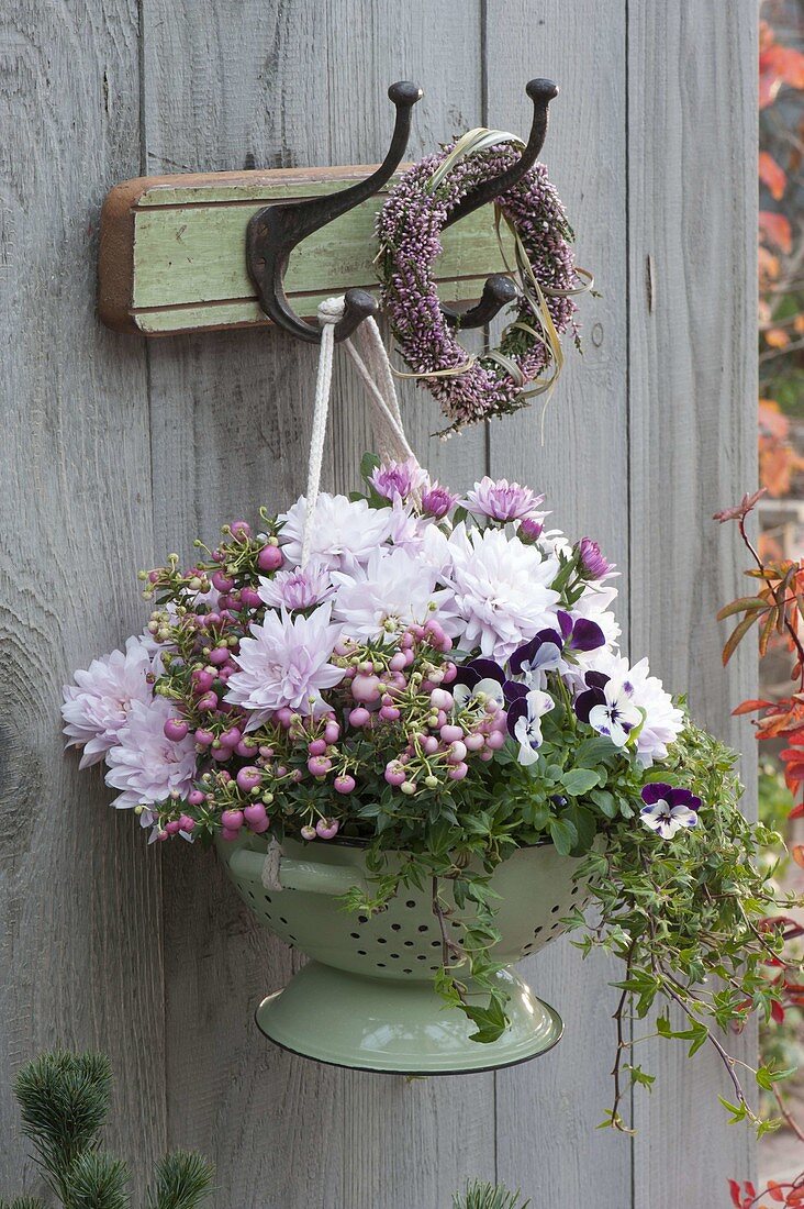 Cup with chrysanthemum (autumn chrysanthemum), Pernettya