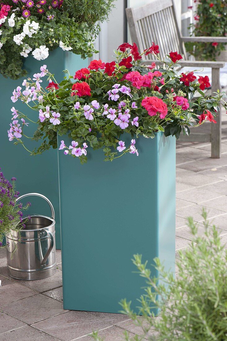 Large plastic tubs planted as privacy screens