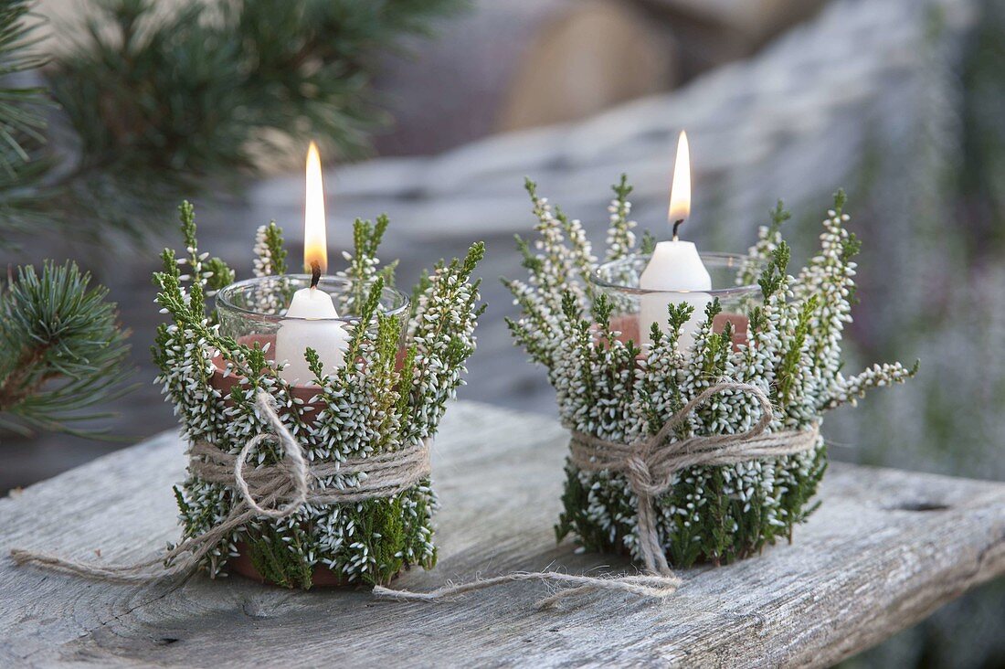 Windlight with white broom heath