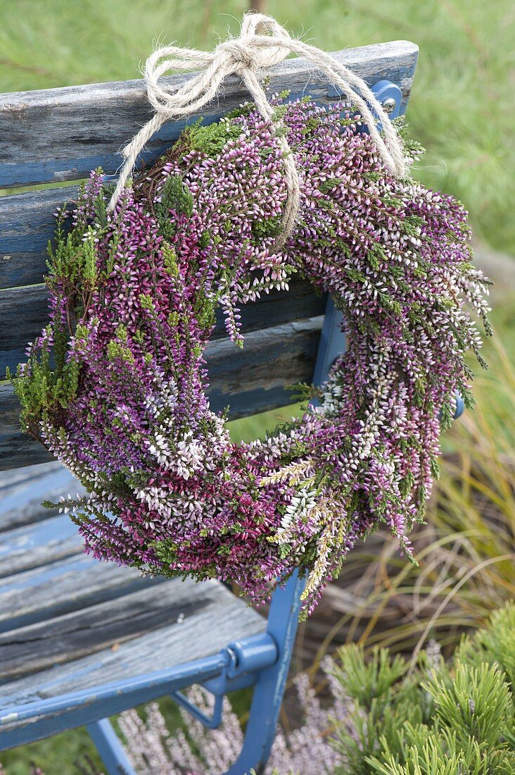 Wreath of Calluna vulgarisan chair back