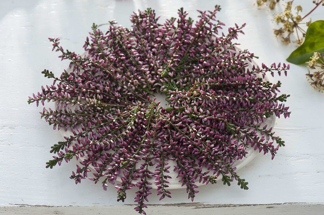 Plate with sprigs of bud-blooming heather