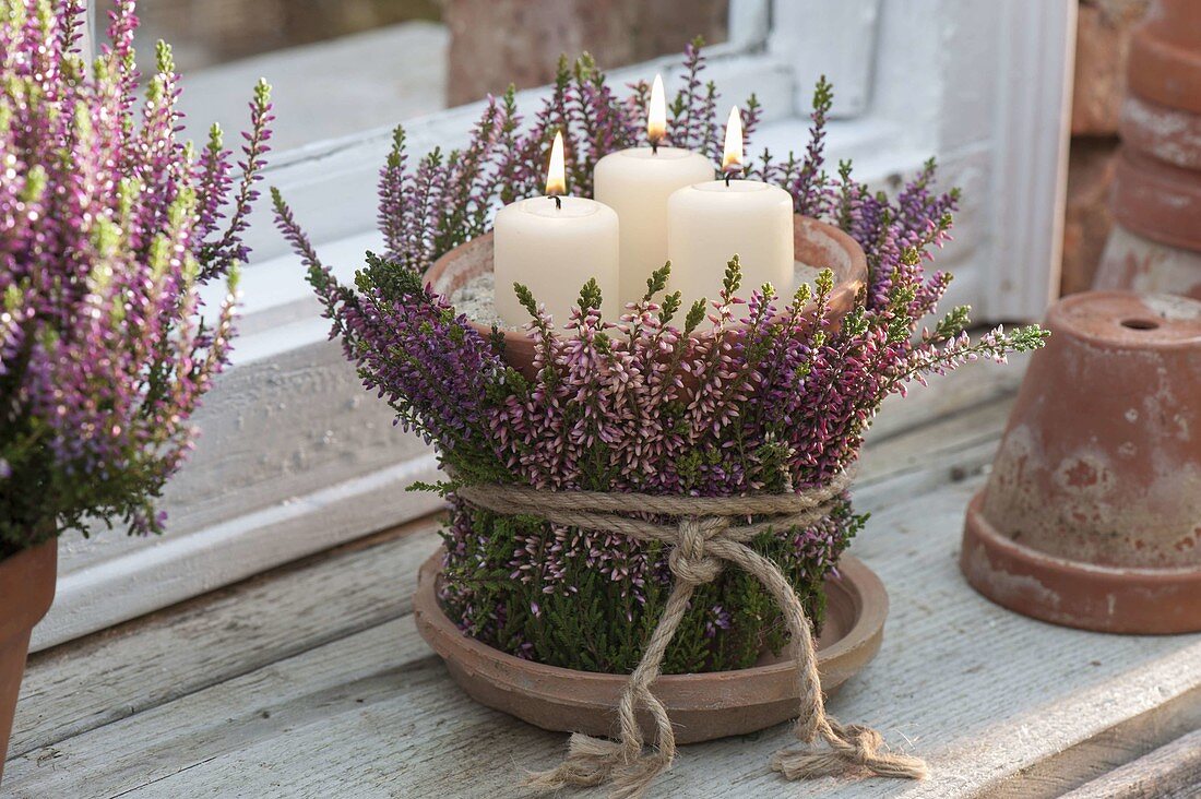 Lantern with bud-blossoming broom heather at the window