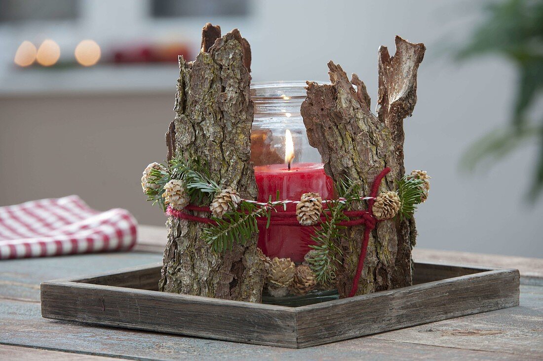 Canning jar dressed up as a lantern with bark of Pinus (pine)