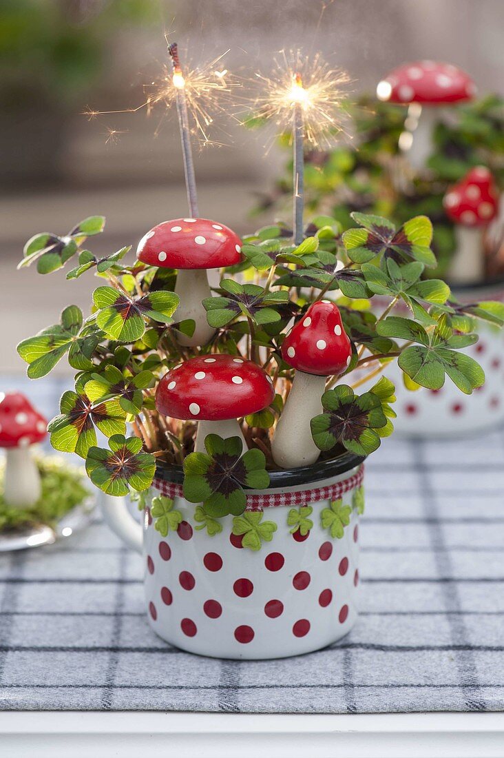 Oxalis deppei 'Iron Cross' (Lucky Clover) in dotted cup with fly agarics