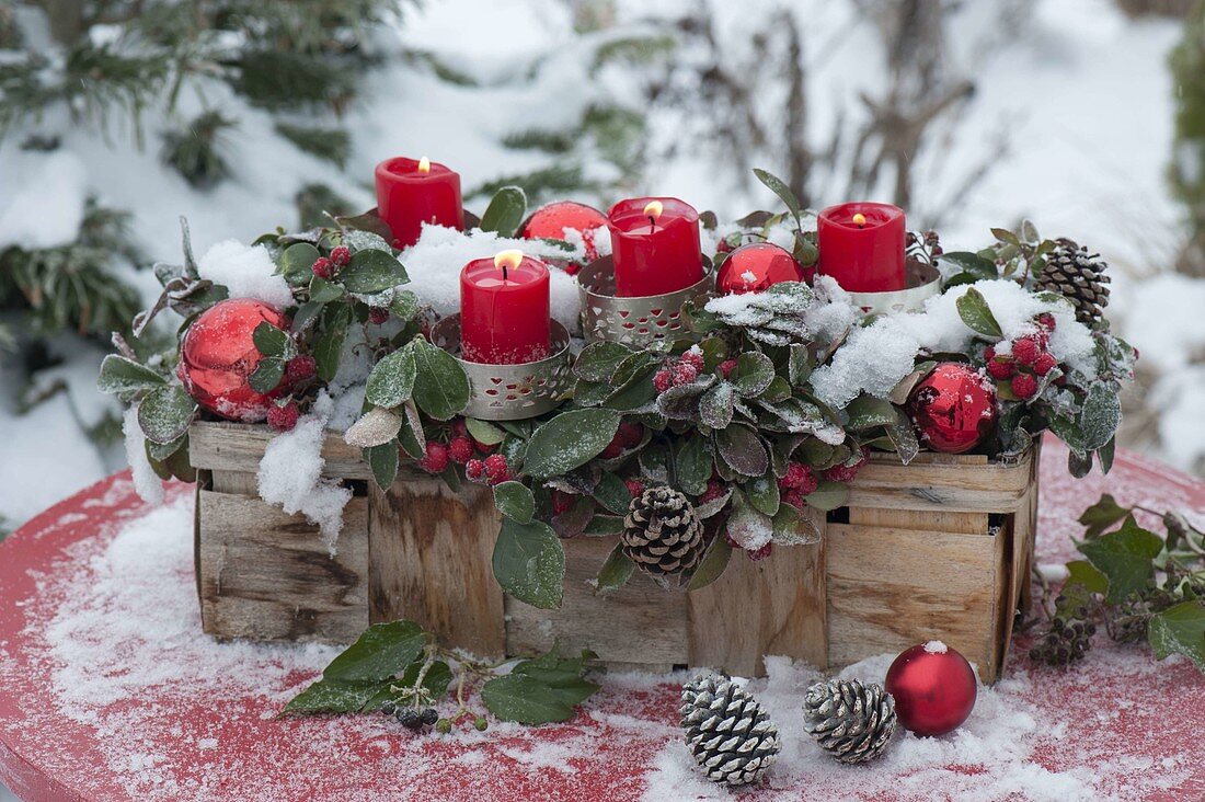 Basket with Gaultheria (mock berries) as Advent wreath with red candles