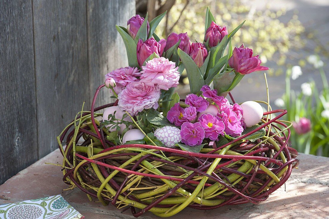 Tulipa 'Lilac Perfection', Ranunculus and Primula acaulis