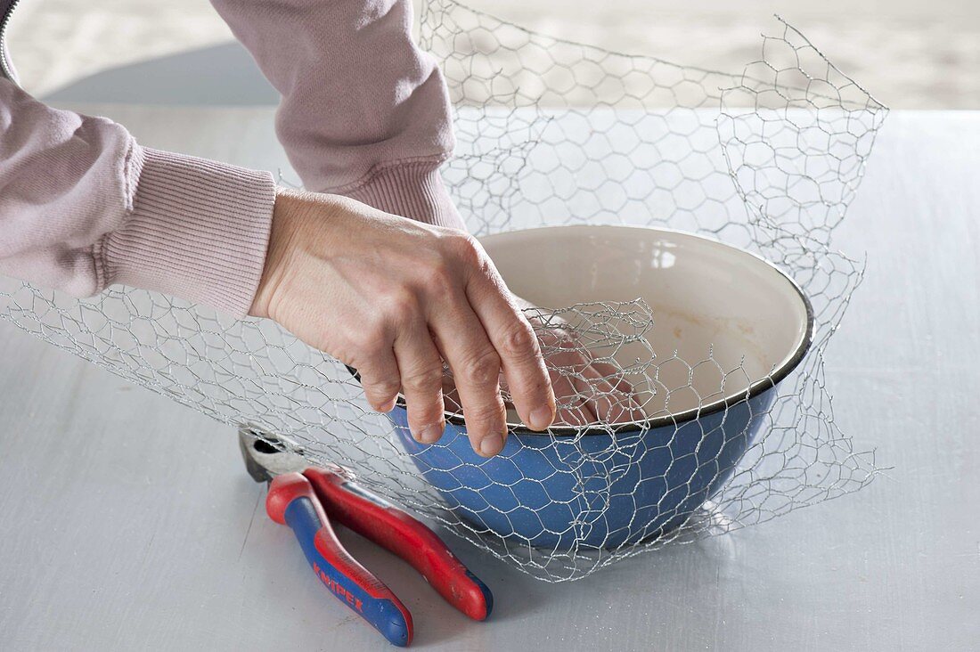 Bulb bowls, planter for bulb flowers in enamel bowl