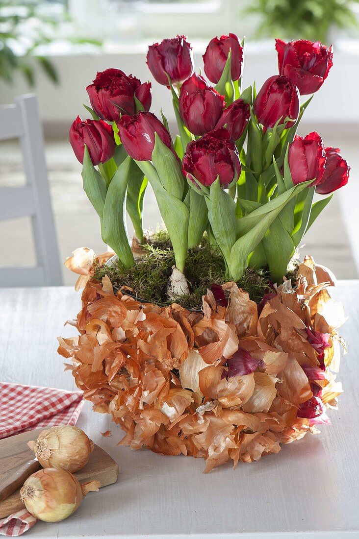 Bulb bowls, planter for bulb flowers in enamel bowl