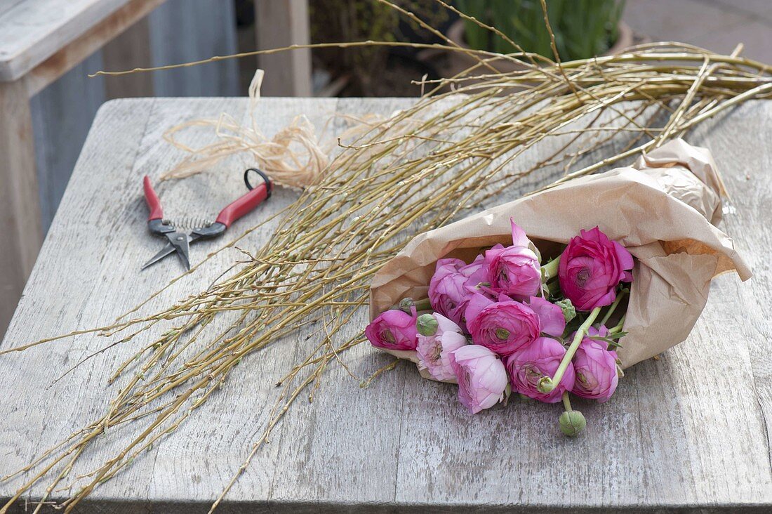 Ranunculus, willow bush